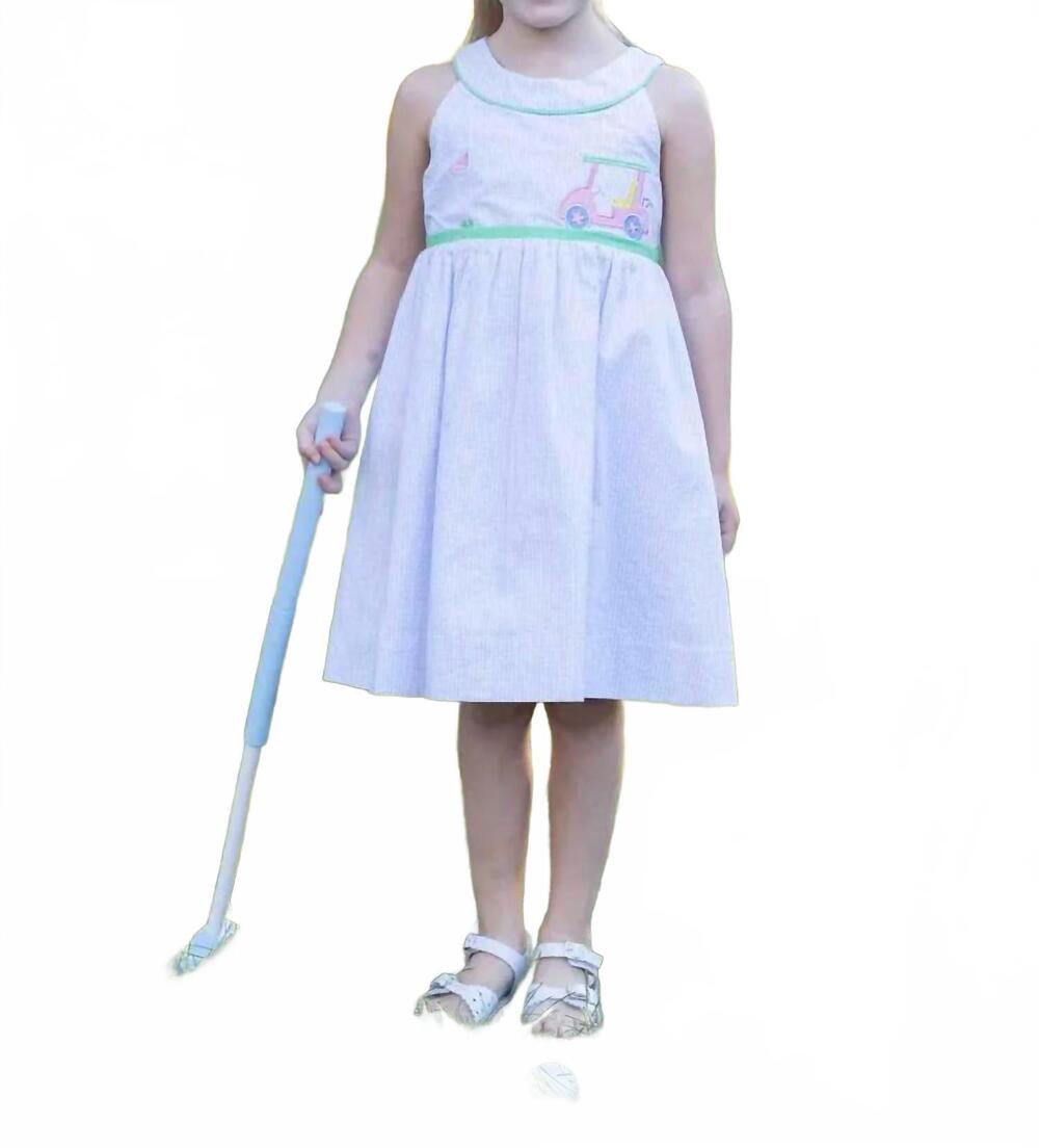 NEW FLORENCE EISEMAN girls golf cart seersucker dress in light blue